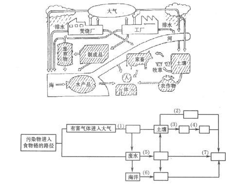 2022年广东成考高起点史地综合考试地里简答题练习007