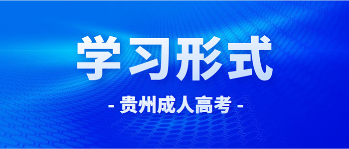 2023年广东省成人高考学习形式