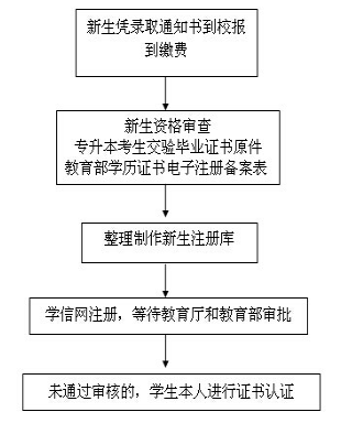 广东成考新生学籍注册与查询！